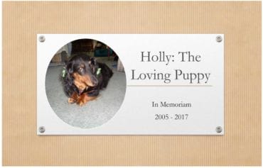 pet memorial book printing