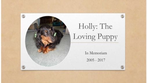 pet memorial book printing