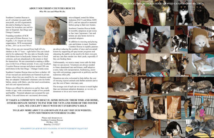 cat booklet
