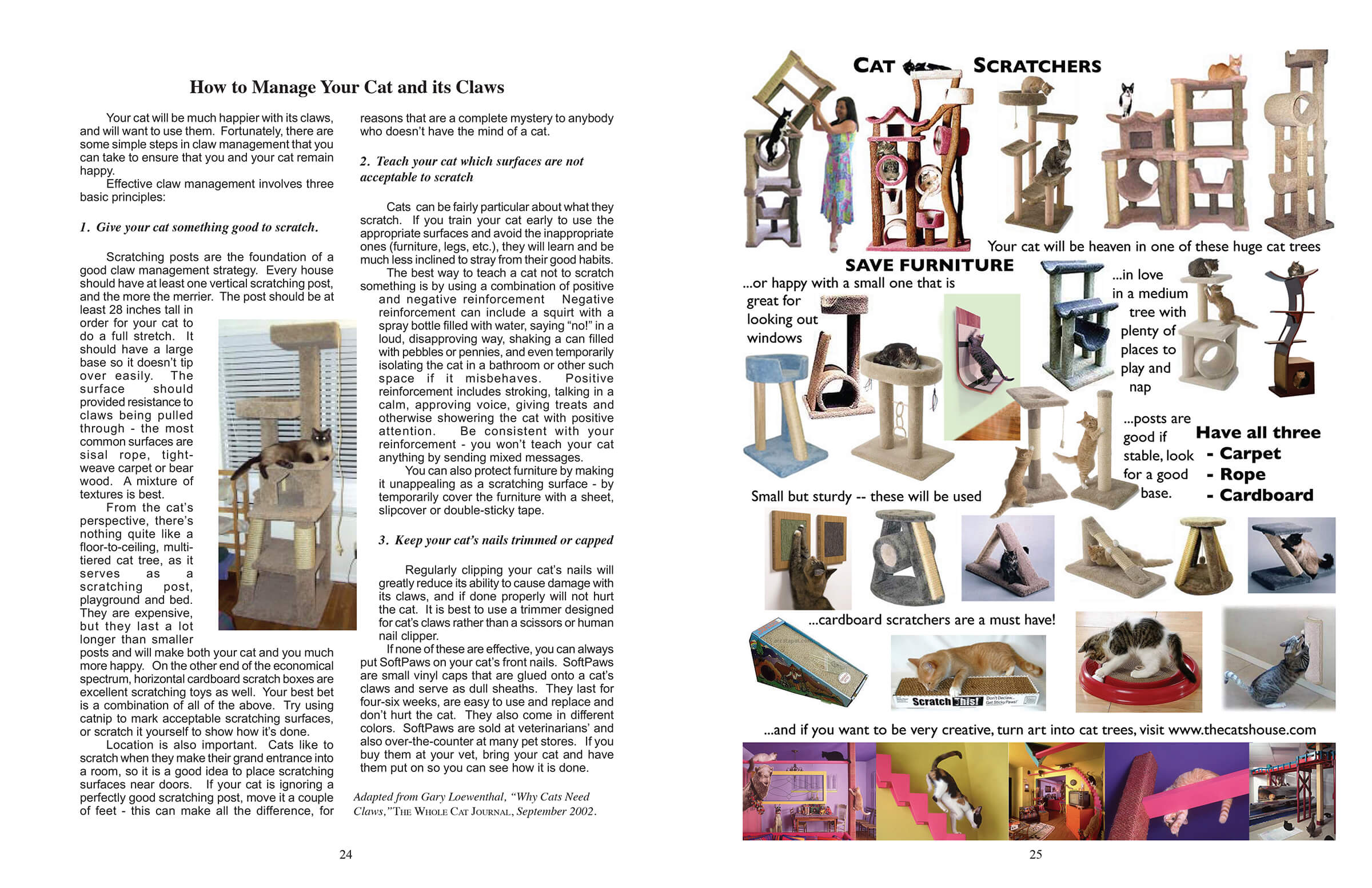 cat booklet printing