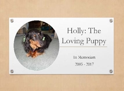 Pet Memorial Book Printing: Spotlight on Holly